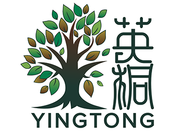 A-Level商科选课指南：经济、商务、会计如何选？